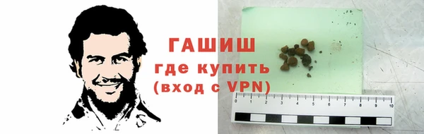 прущие грибы Покачи