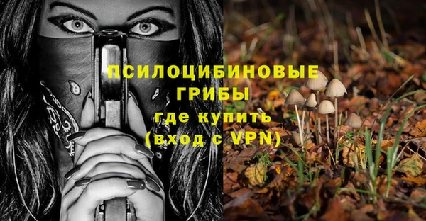 прущие грибы Покачи