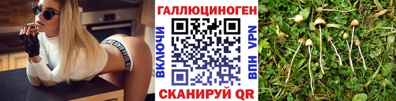 Купить закладки  Черкесск  Псилоцибиновые грибы мухоморы 